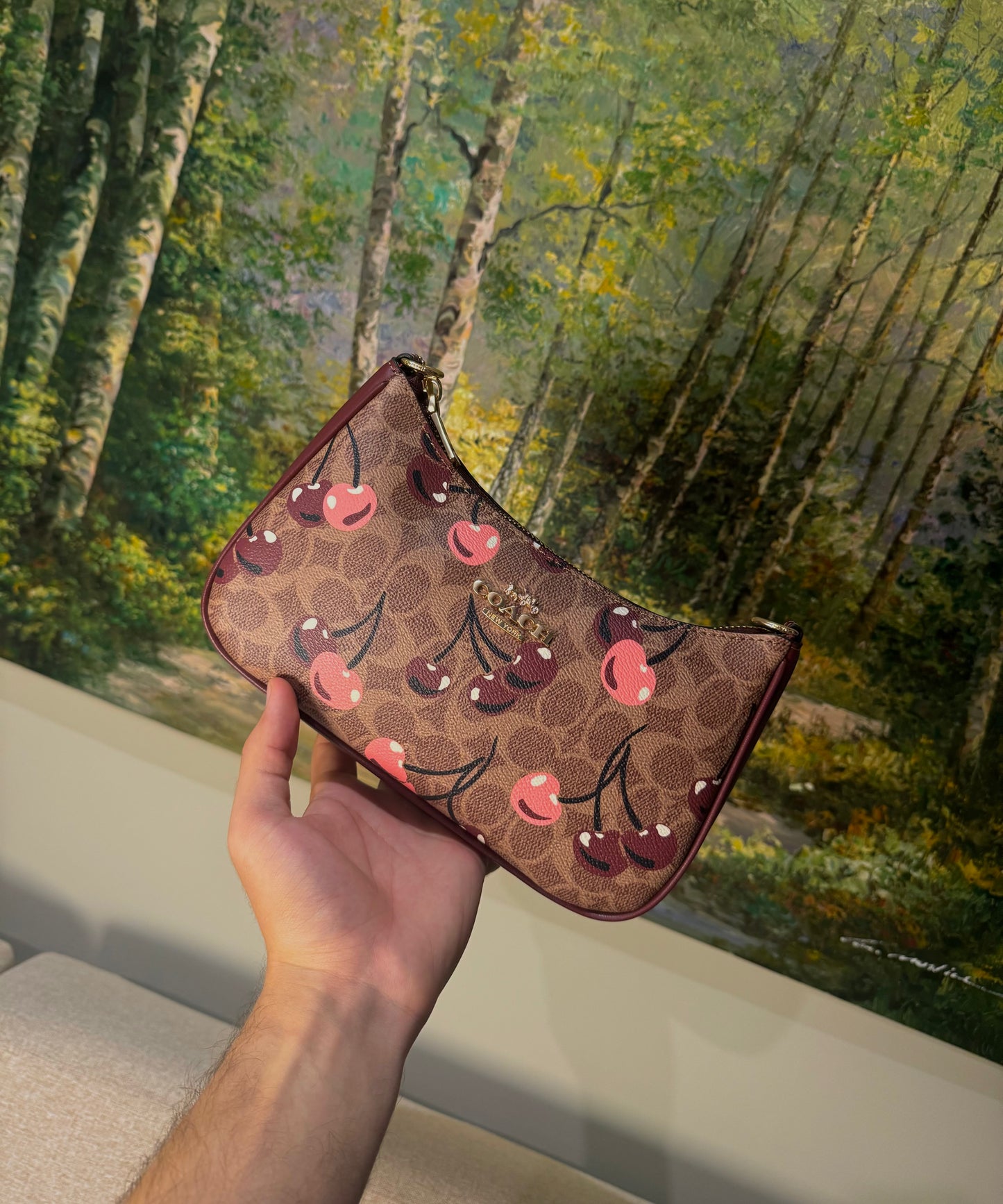 Coach Teri Cherry Shoulder Bag