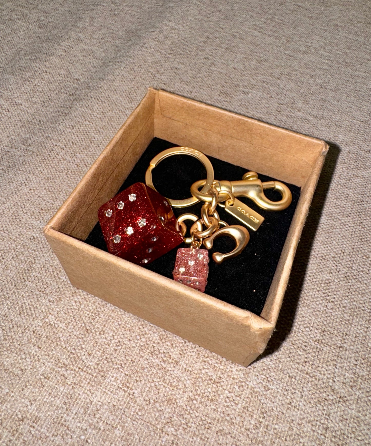 Coach Dice Bag Charm