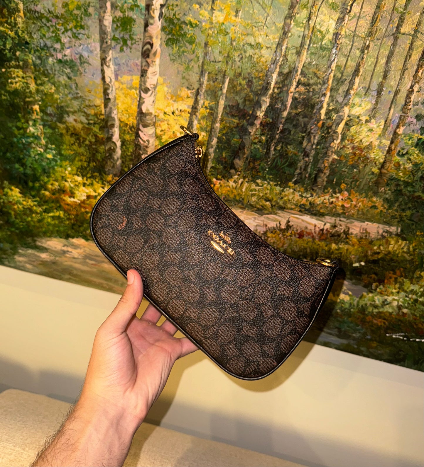 Coach Teri Shoulder Dark Bown-Black Bag